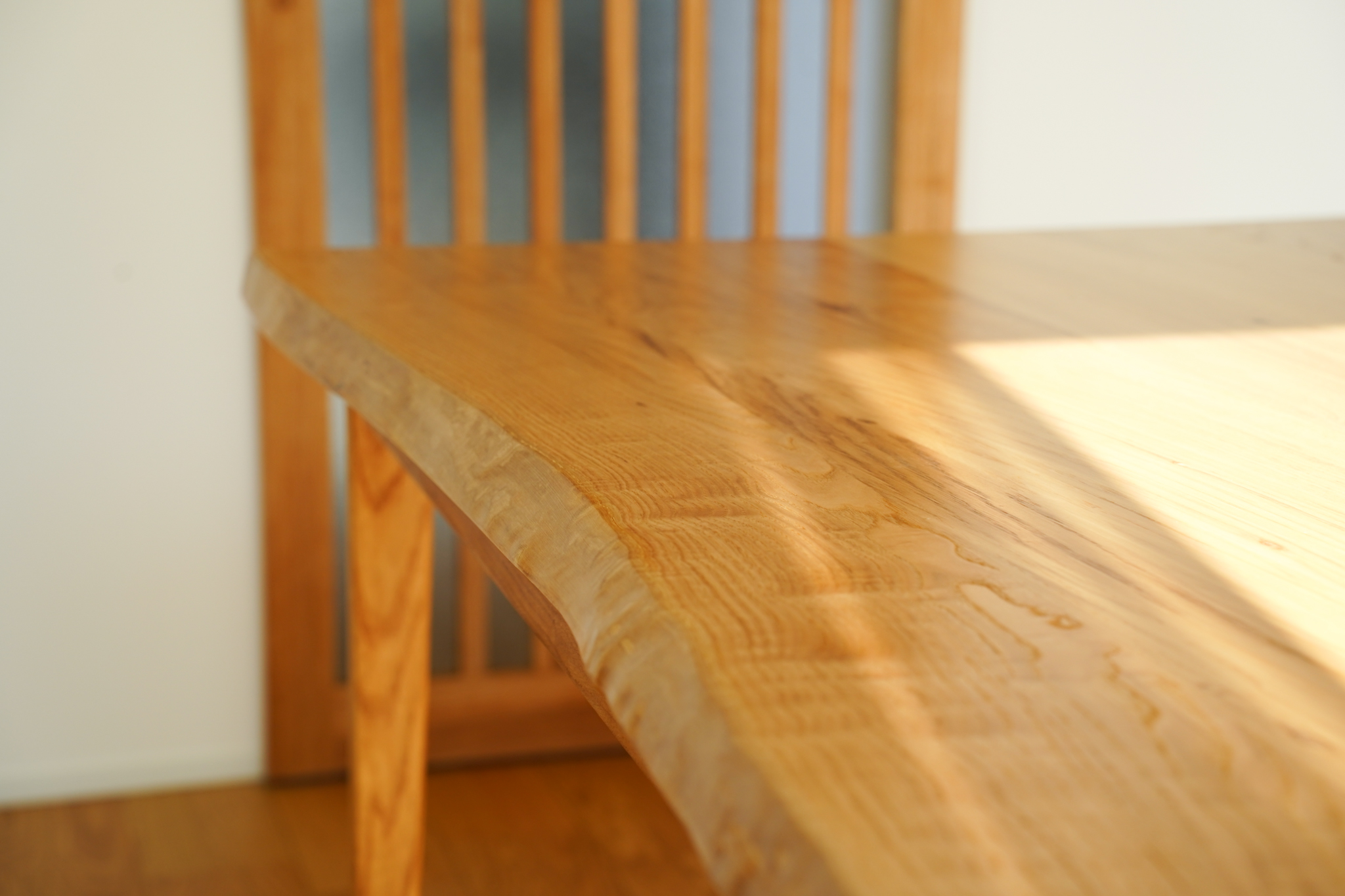 視覚的にも体感的にも自然を感じる家