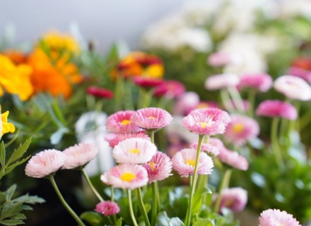 【開催レポート】暮らしの、ちいさな工作室 Spring ver. にご来場いただき、ありがとうございました。